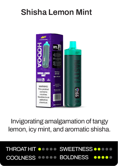 nasty_za_dfr10ki_shisha_lemon_mint_description