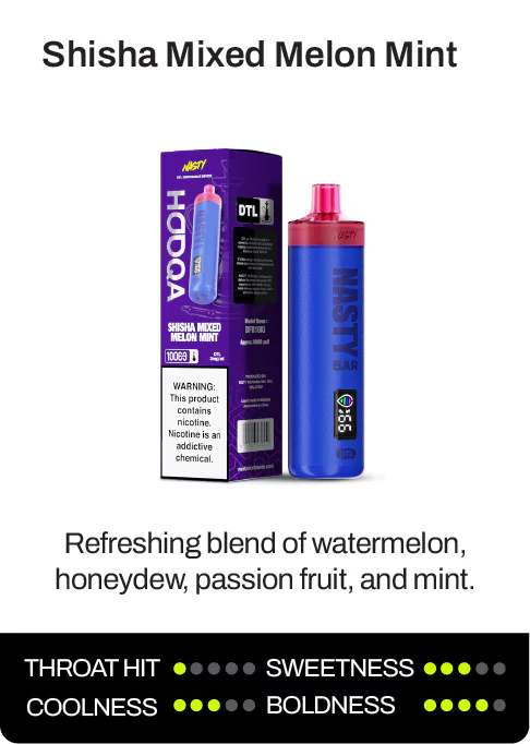 nasty_za_dfr10ki_shisha_mixed_melon_mint_description